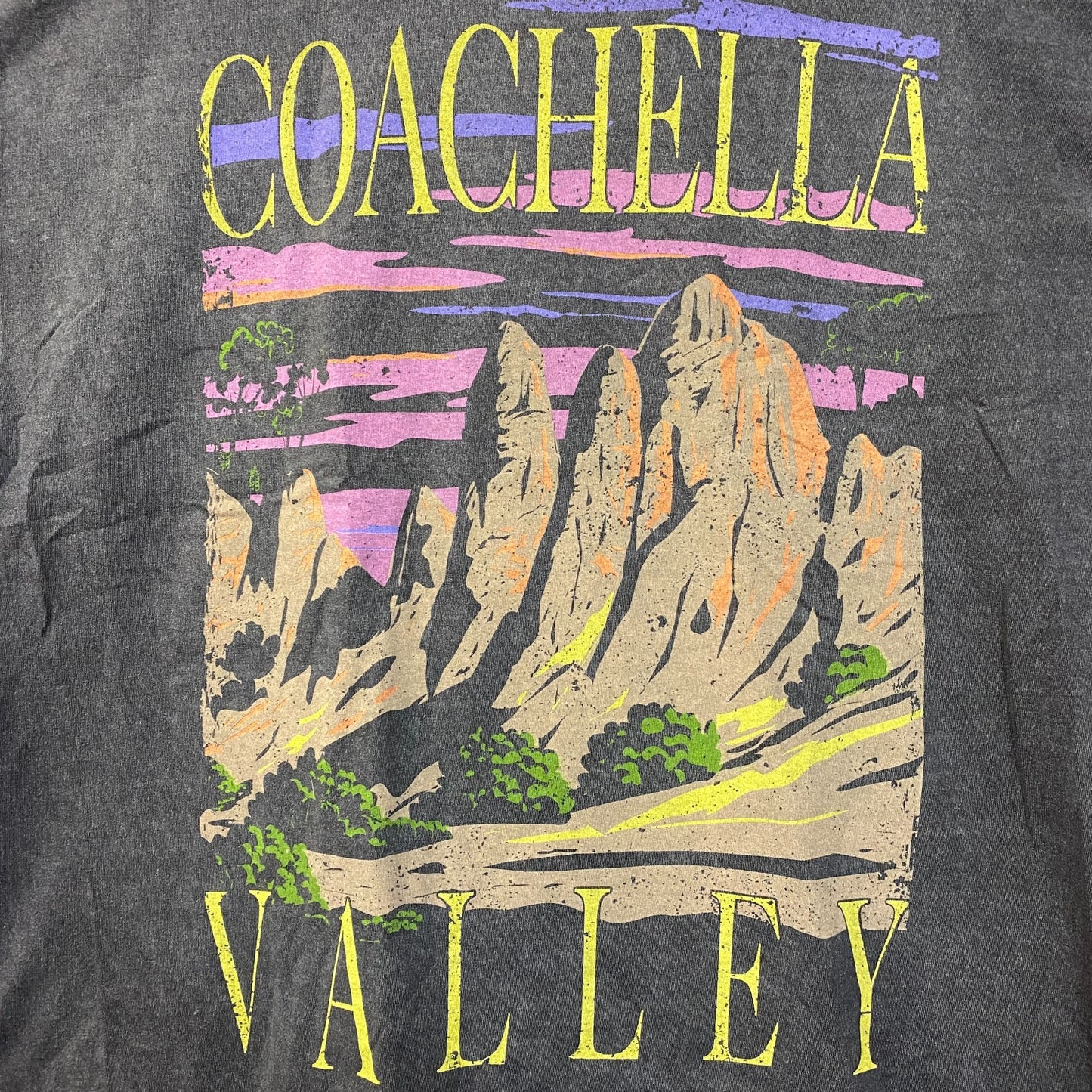 Coachella Valley Vintage-Style Graphic Design T-Shirt XL